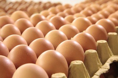 金华鸡蛋检测价格,鸡蛋检测机构,鸡蛋检测项目,鸡蛋常规检测